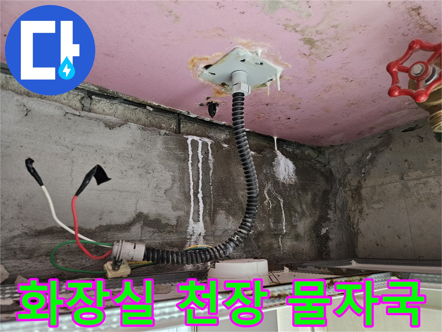 양주 옥정동-화장실 천장 내부의 누수 흔적과 배관 상태