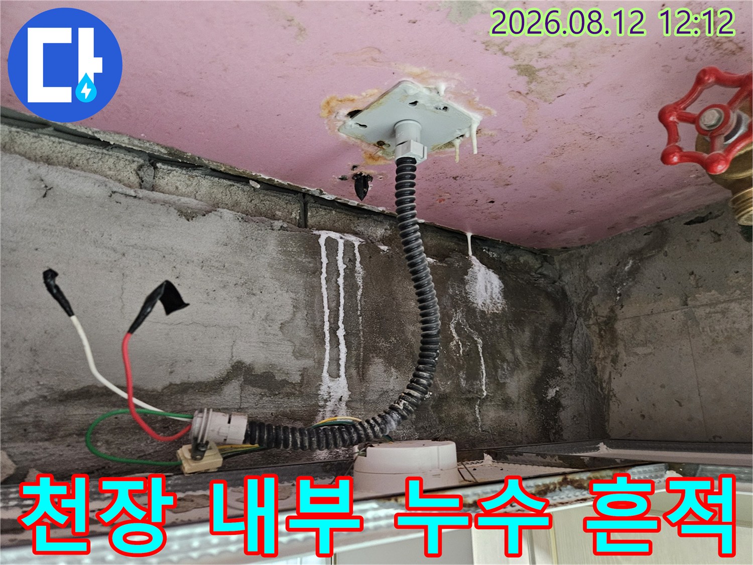 양주 옥정동 화장실-천장 배관 주변의 하얀 물 흐른 자국 현장