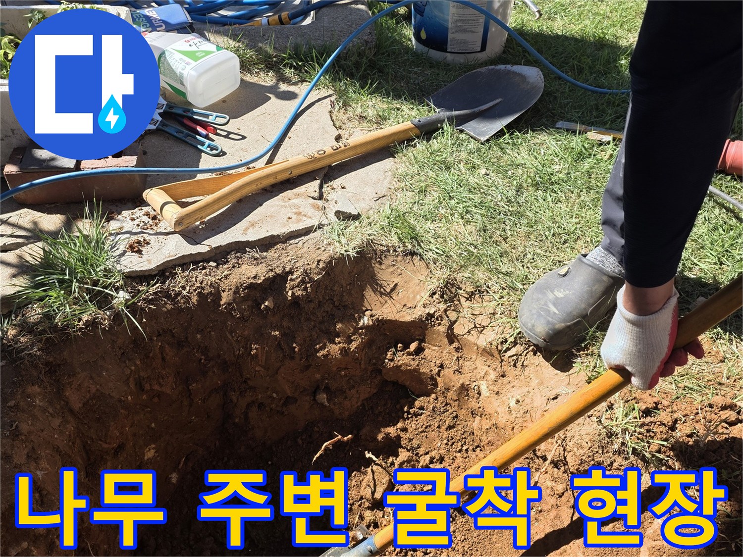나무 뿌리와-배관 사이의 누수를 찾기 위한 굴착 모습