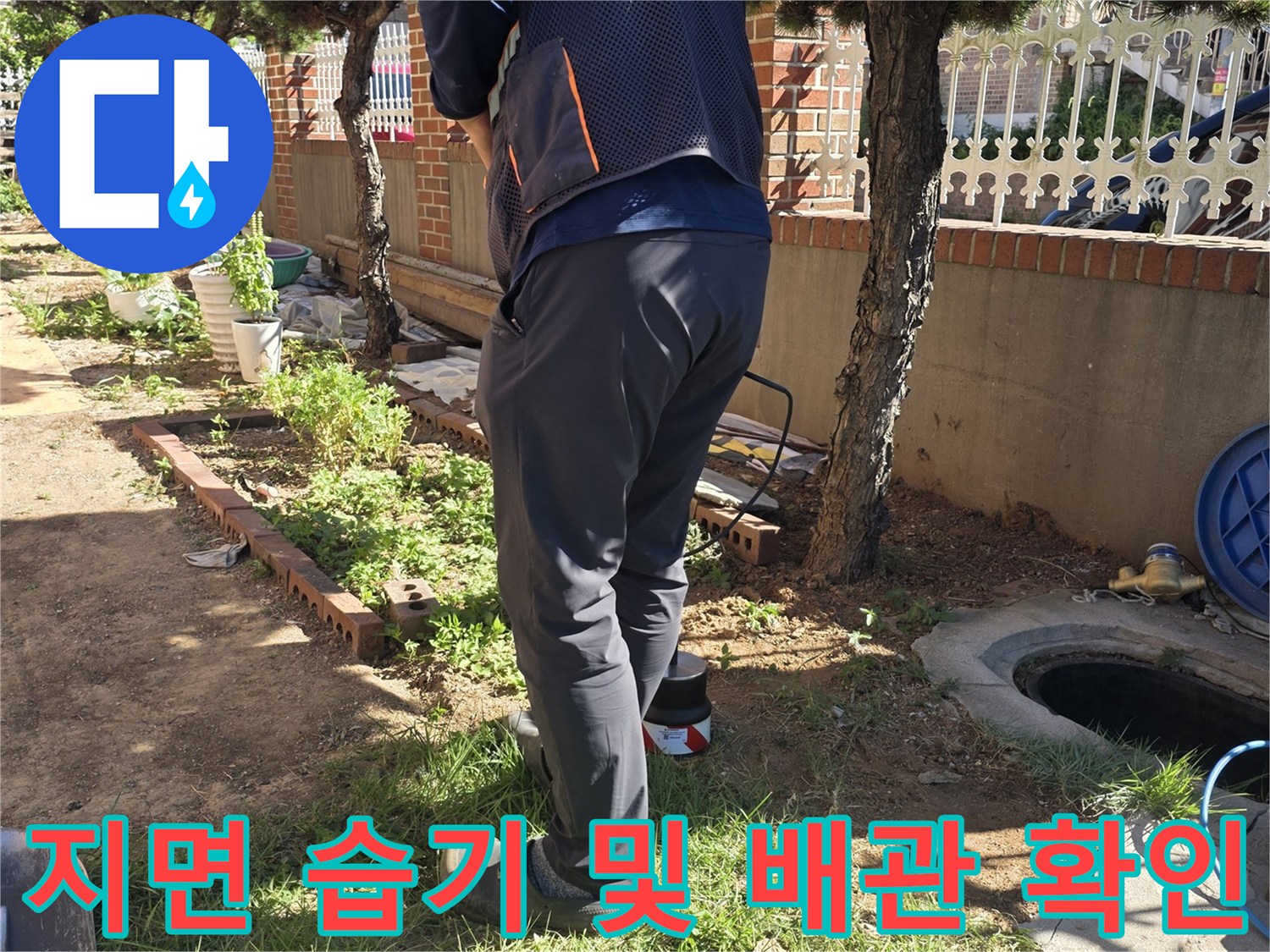 인천 원당동 현장 나무 주변 맨홀 근처 배관 점검 중
