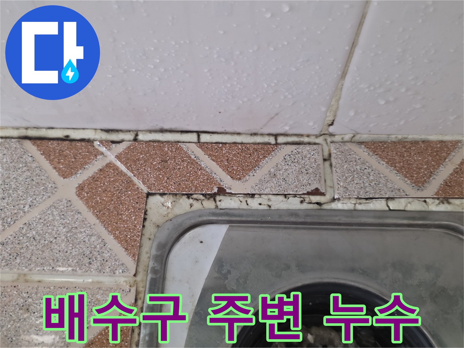 배수구 유가-주변 타일 틈새에 고인 물과 습기 확인