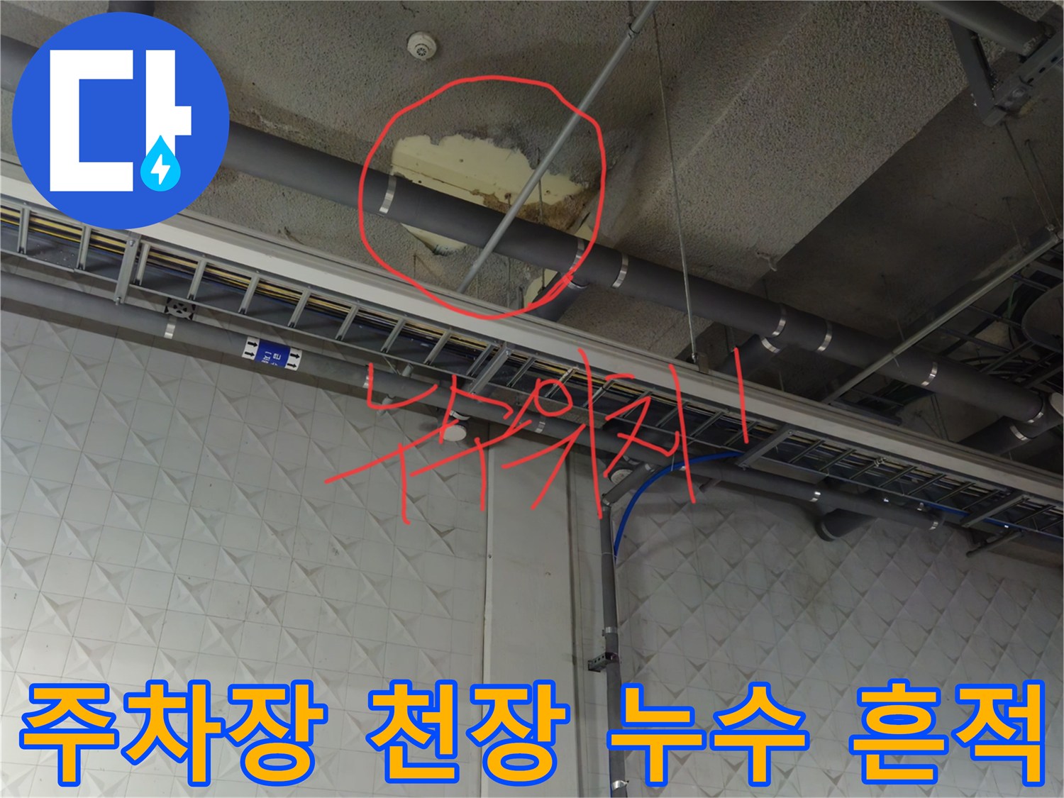 과천 별양동 지하 주차장 배관 주변의 천장 누수 자국