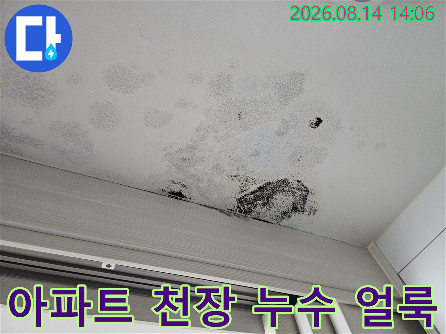 안산 단원구 아파트 중문 천장에 발생한 넓은 누수 얼룩과 곰팡이 흔적