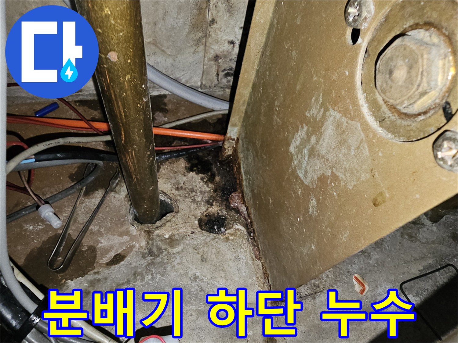 축축하게 젖은 바닥과 노후된 분배기 연결 부위