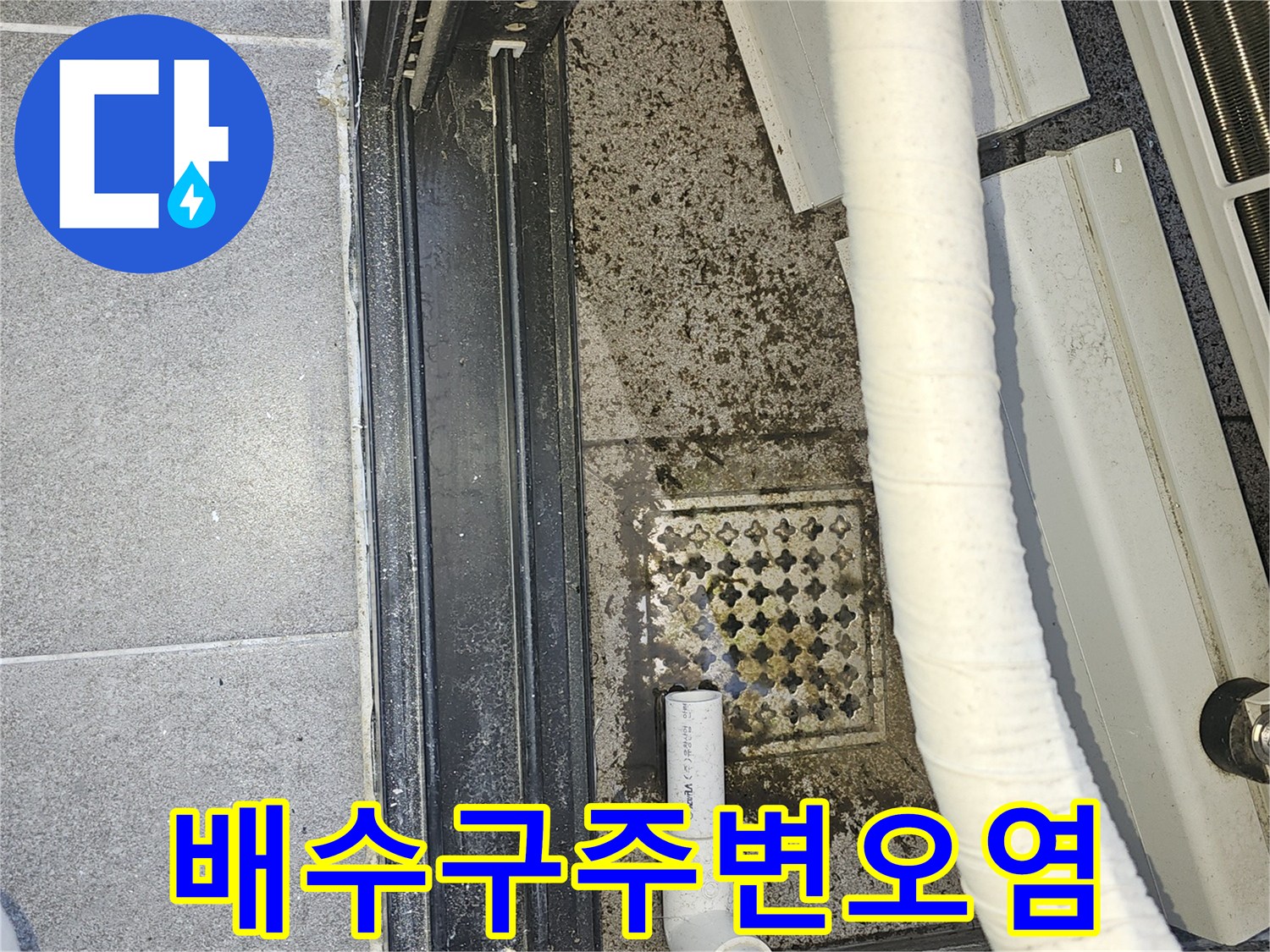 배수구-격자-덮개-주변의-축축한-물때-및-얼룩