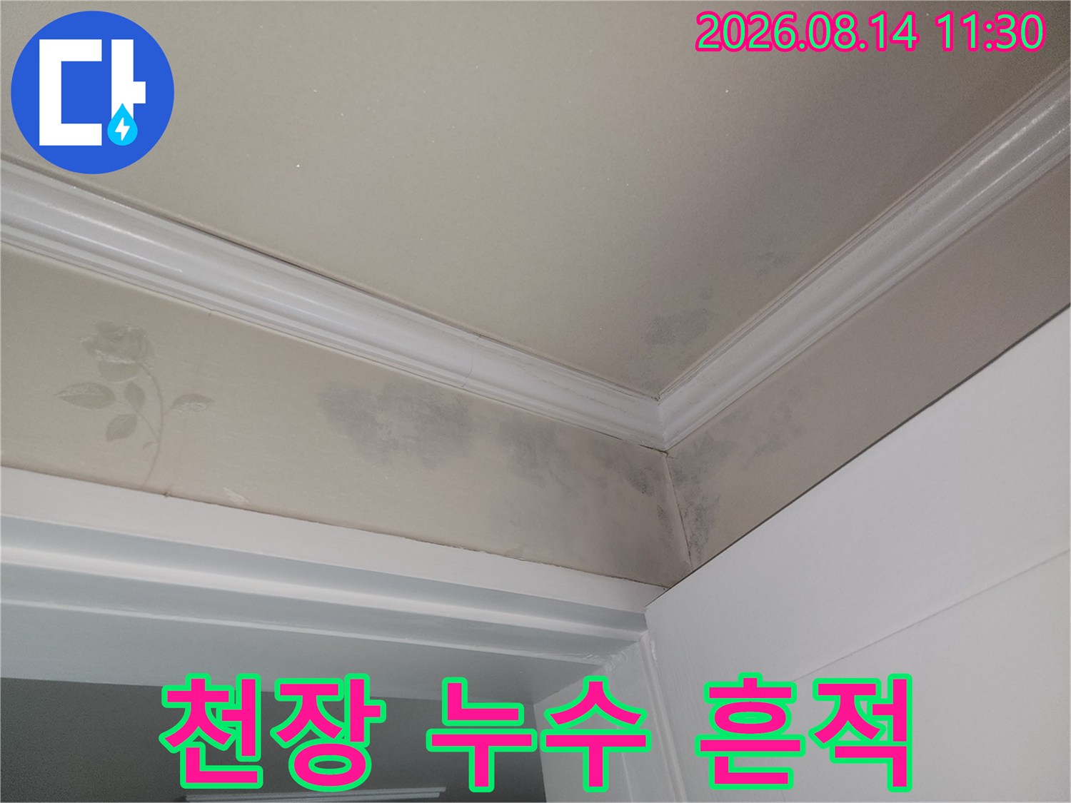 몰딩 주변의 어두운 누수 얼룩과 젖은 벽지