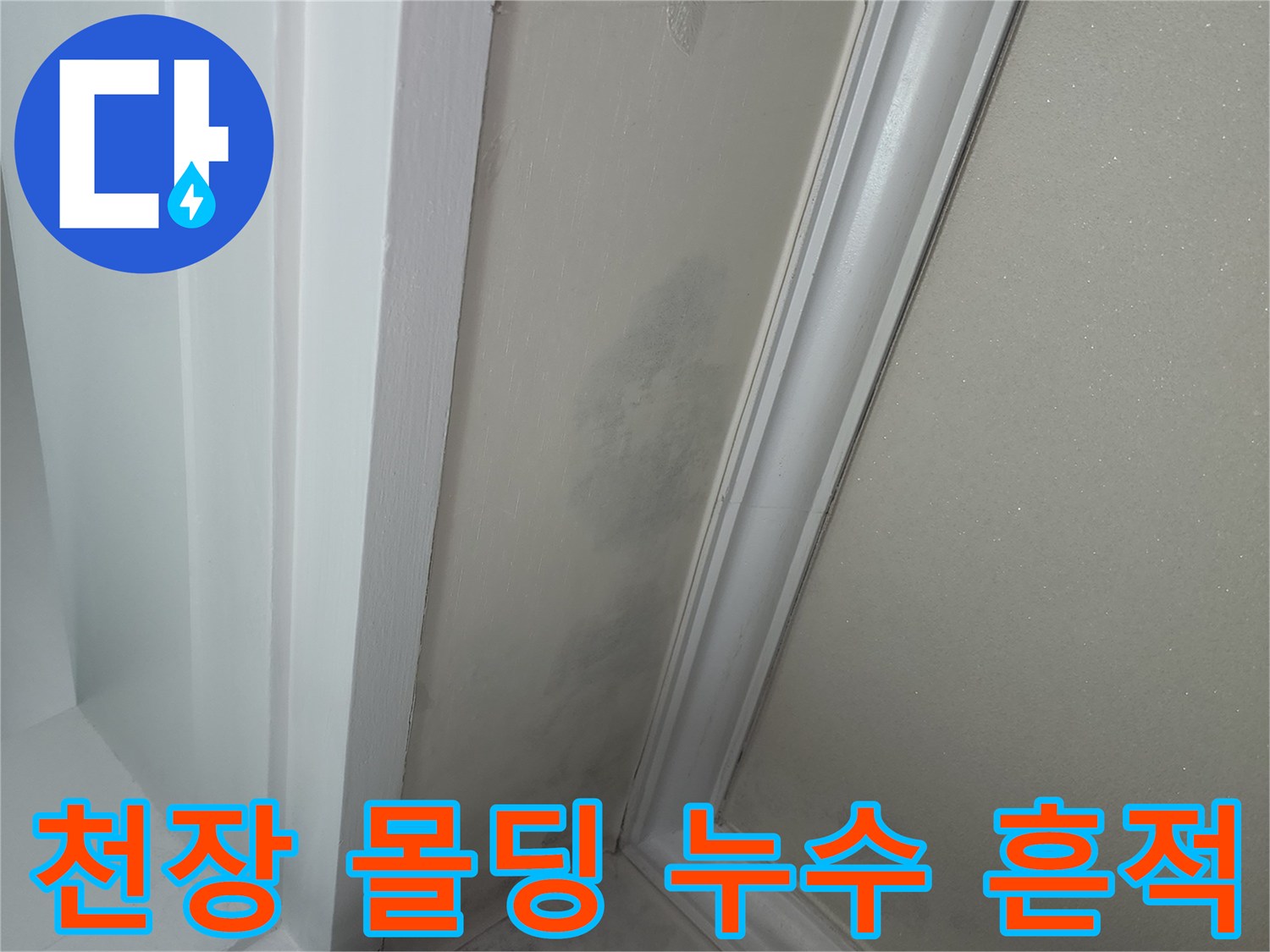 아파트 천장 몰딩 부근의 곰팡이와 물자국 상태