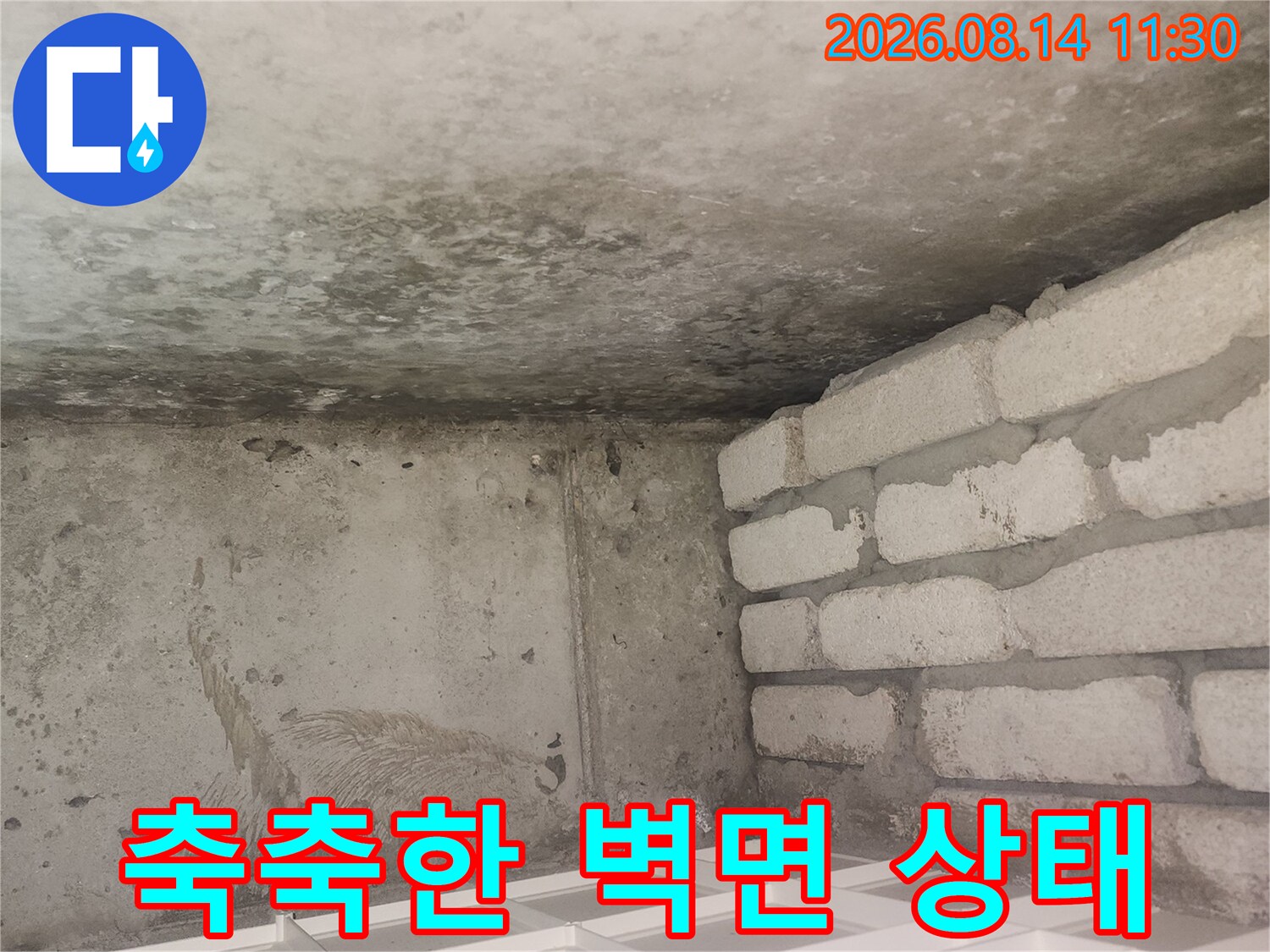 안양 동안구 아파트 천장 벽면의 습기 및 곰팡이 발생 상태