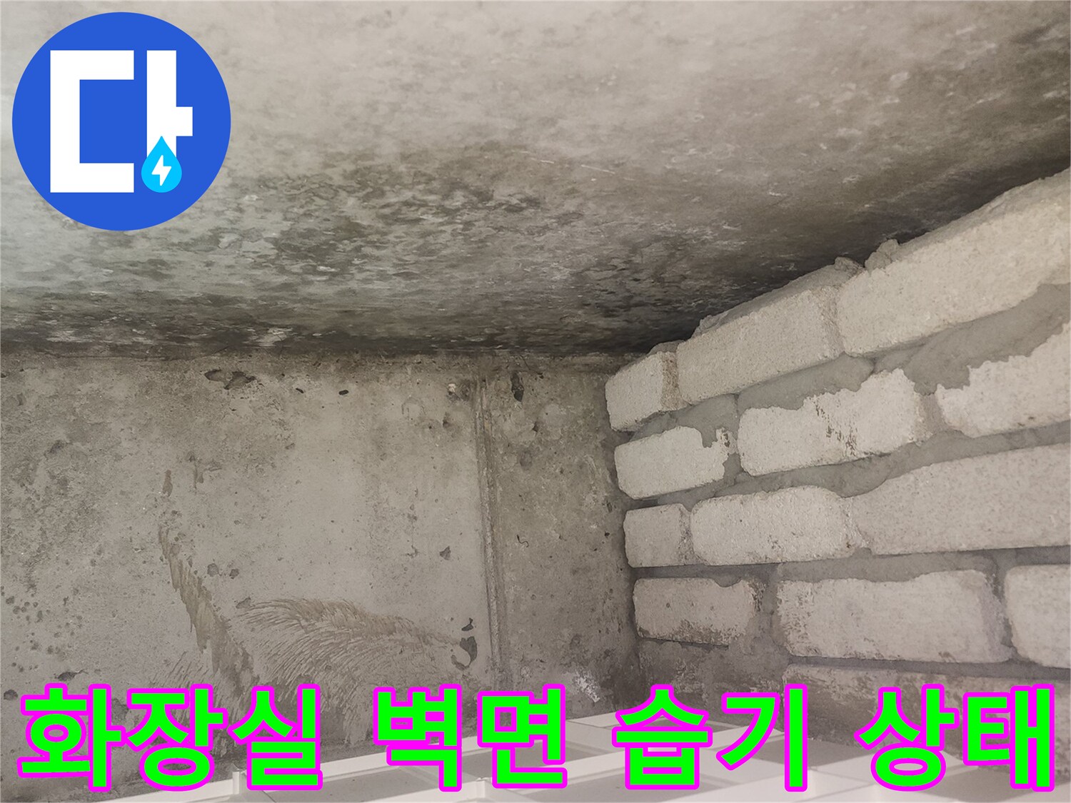 안양 아파트 화장실 벽면의 젖은 콘크리트와 시멘트 블록 모습