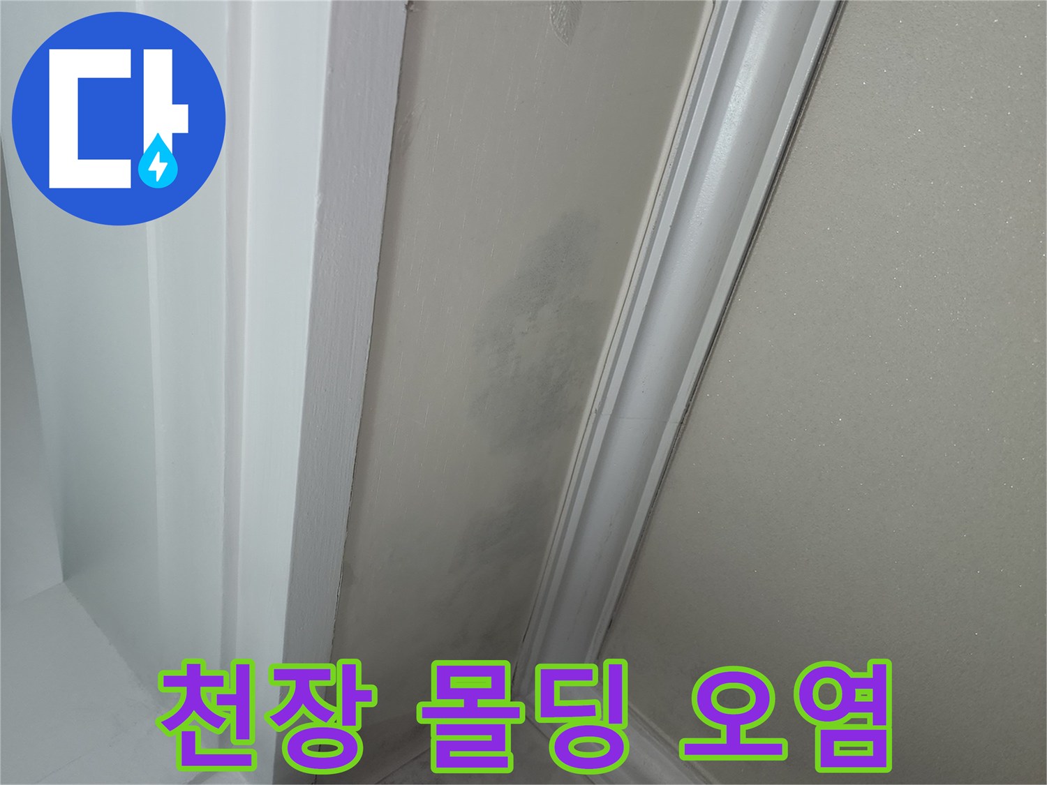천장-몰딩-경계-부위의-습기-침투-흔적