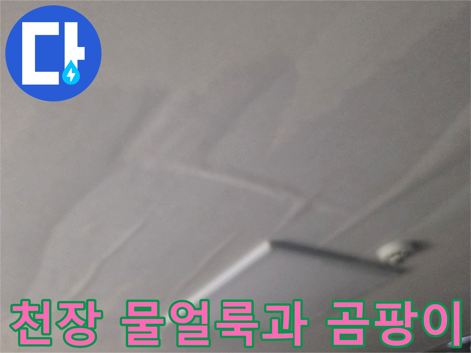 남양주 별내동 상가주택의 천장 물얼룩 및 곰팡이 상태