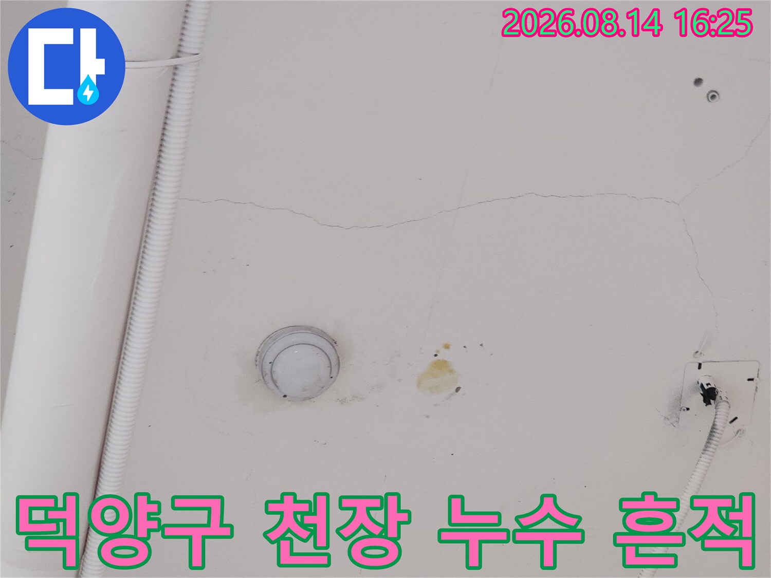 고양시 덕양구 상가 천장의 누수 변색 흔적과 균열 상태