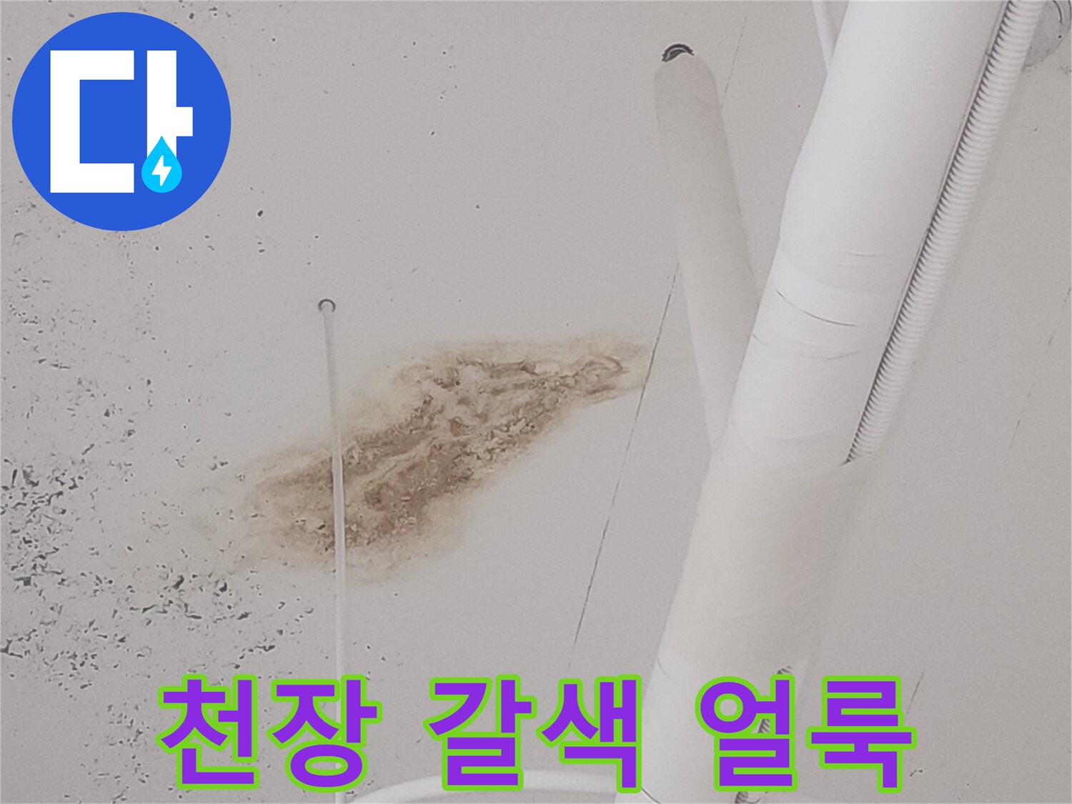 덕양구 식당-천장 배관 주변의 누수 흔적