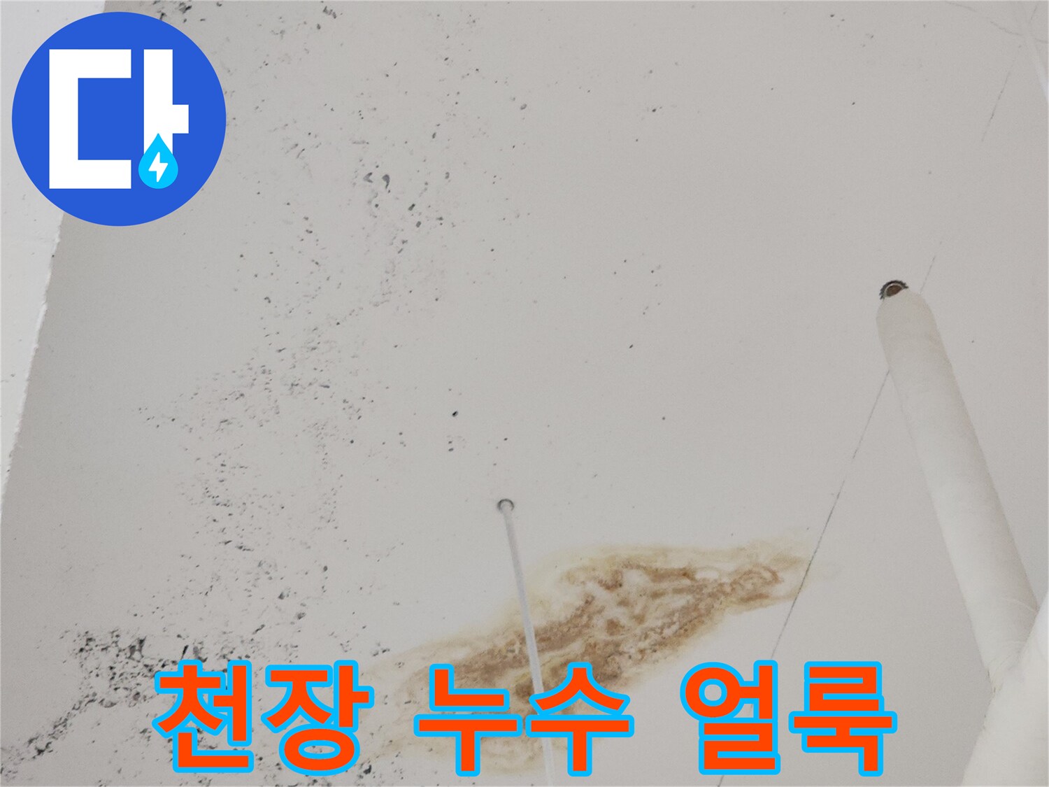 천장-마감재-위의-누수-흔적과-습기-오염
