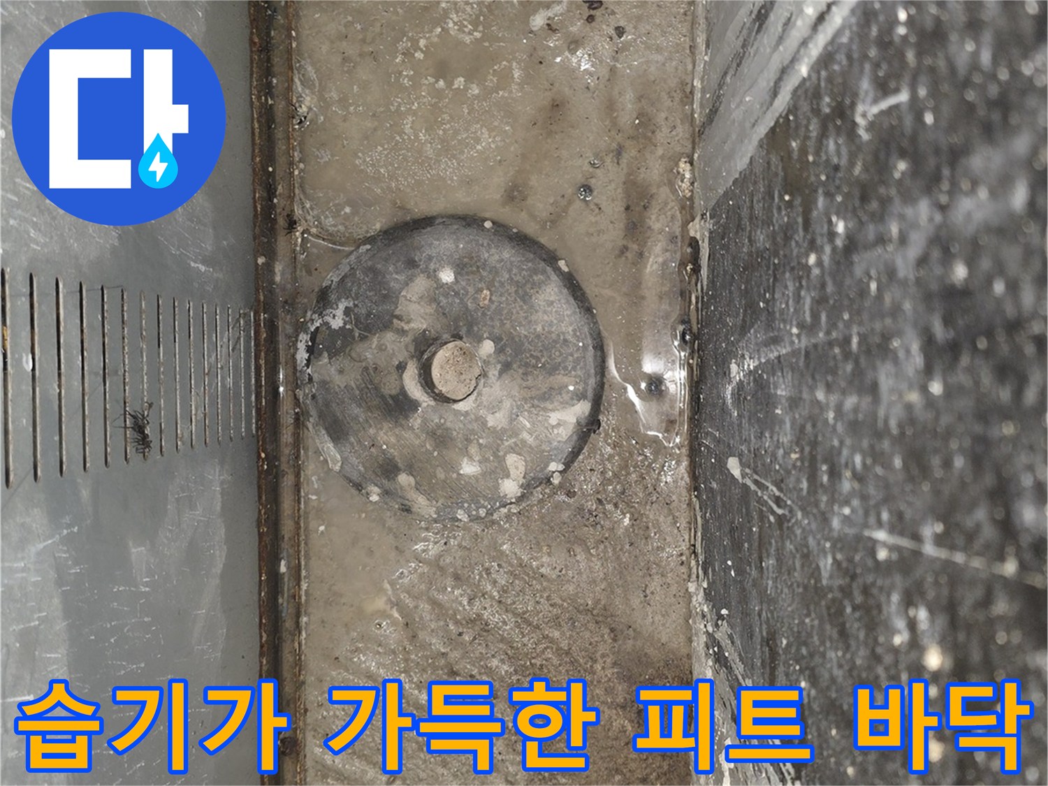 물샘 현상이 발생한 엘리베이터 하단부의 젖은 콘크리트 면