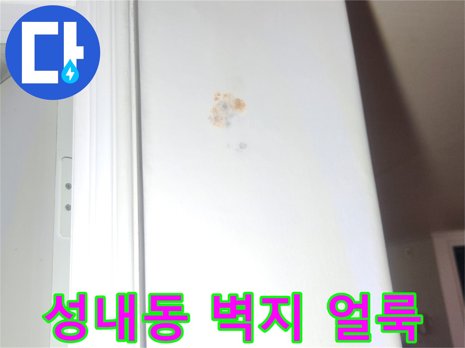 강동구-성내동-아랫집-천장-벽지-오염-상태-사진