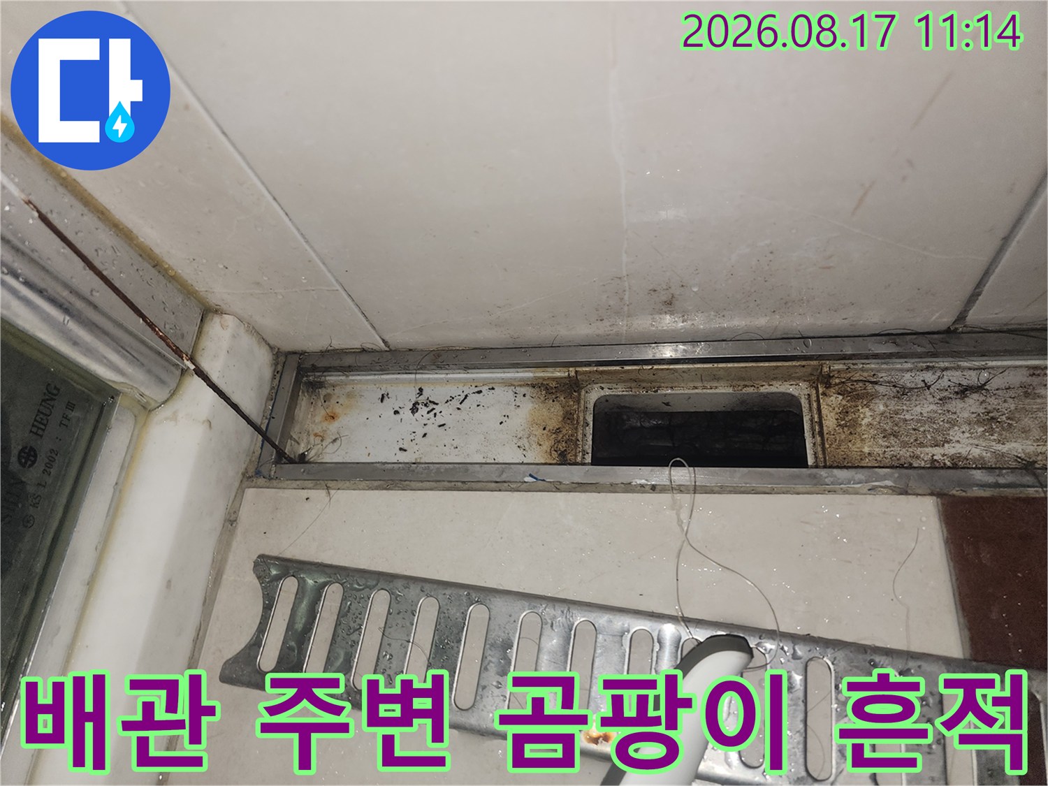 싱크대 배수구 부근-축축하게 젖어 있는 배관 연결 부위와 오염된 마감재