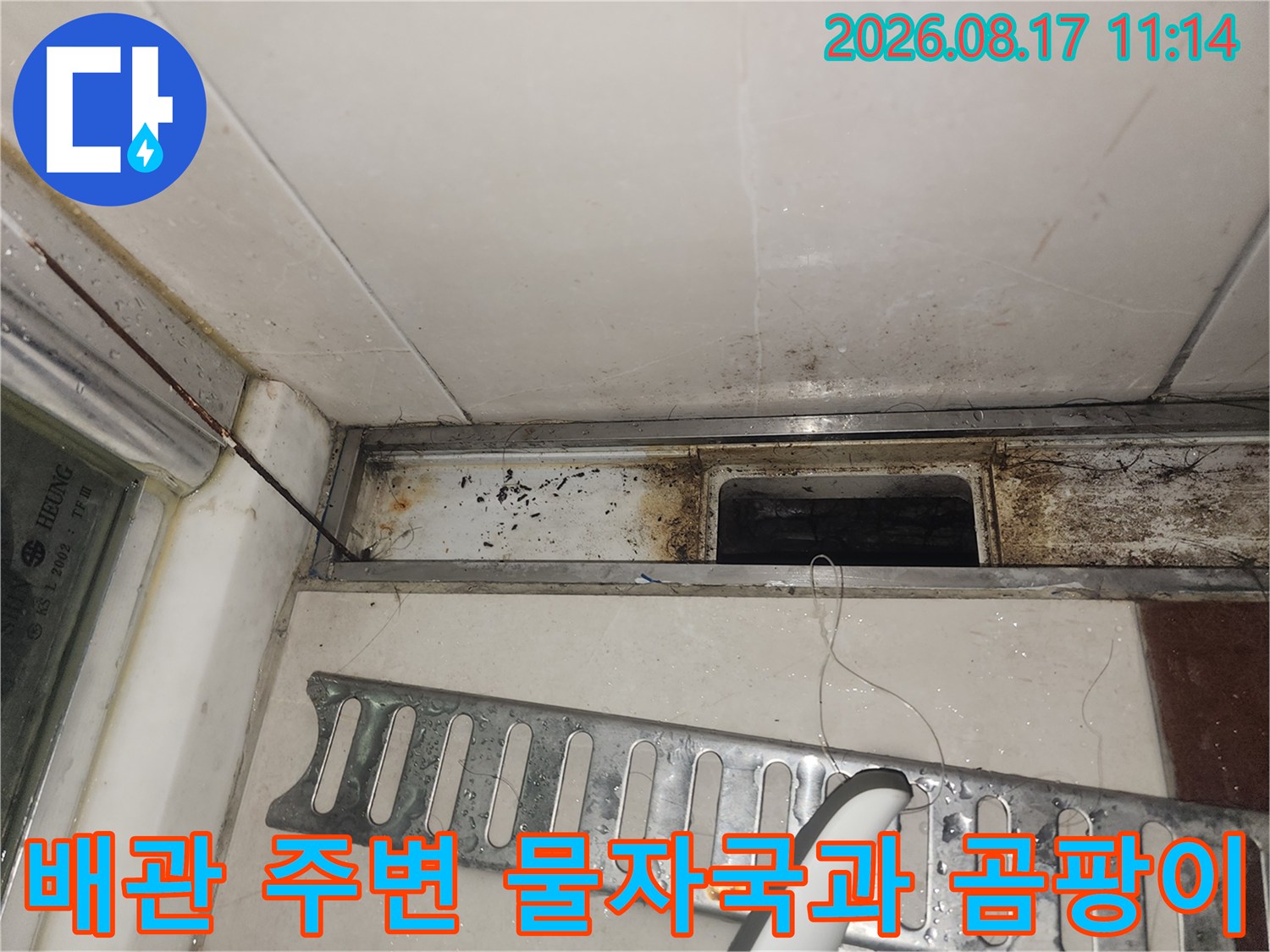 싱크대 하부 배관 틈새에 발생한 곰팡이와 습기 흔적을 보여줍니다.