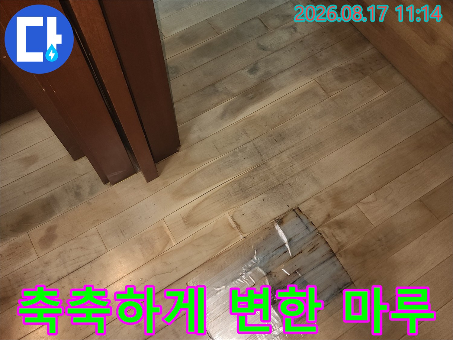 여의도동 현장의-물기를 머금어 어두워진 마루 판재