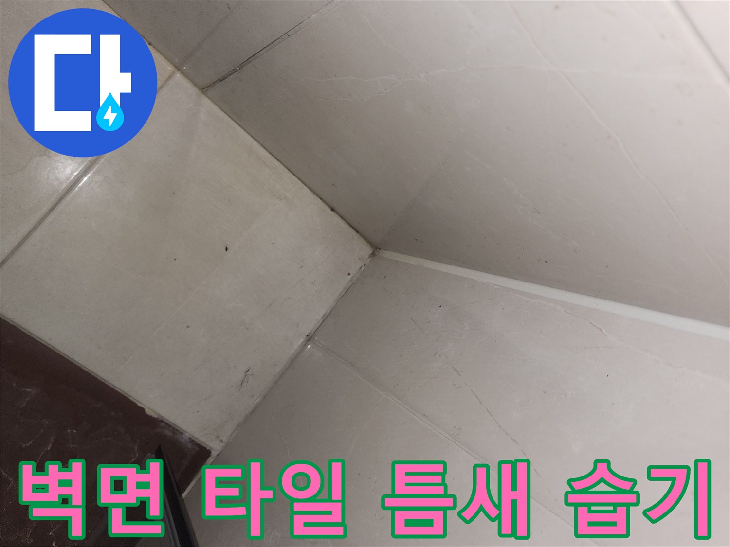 타일과 타일 사이의 습한 경계 부위입니다.