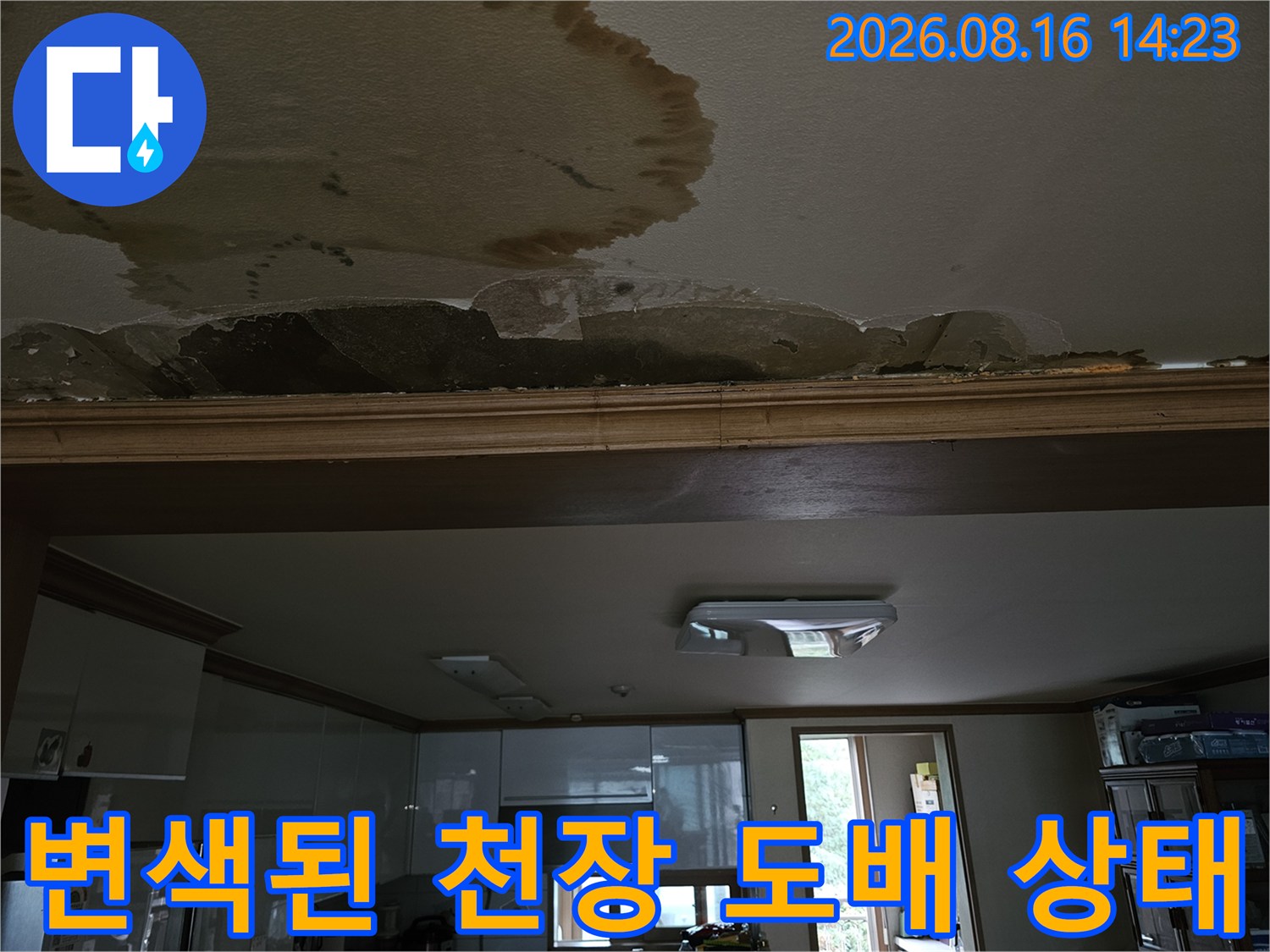 넓은 범위의 물자국과 들뜬 천장 마감재 부위
