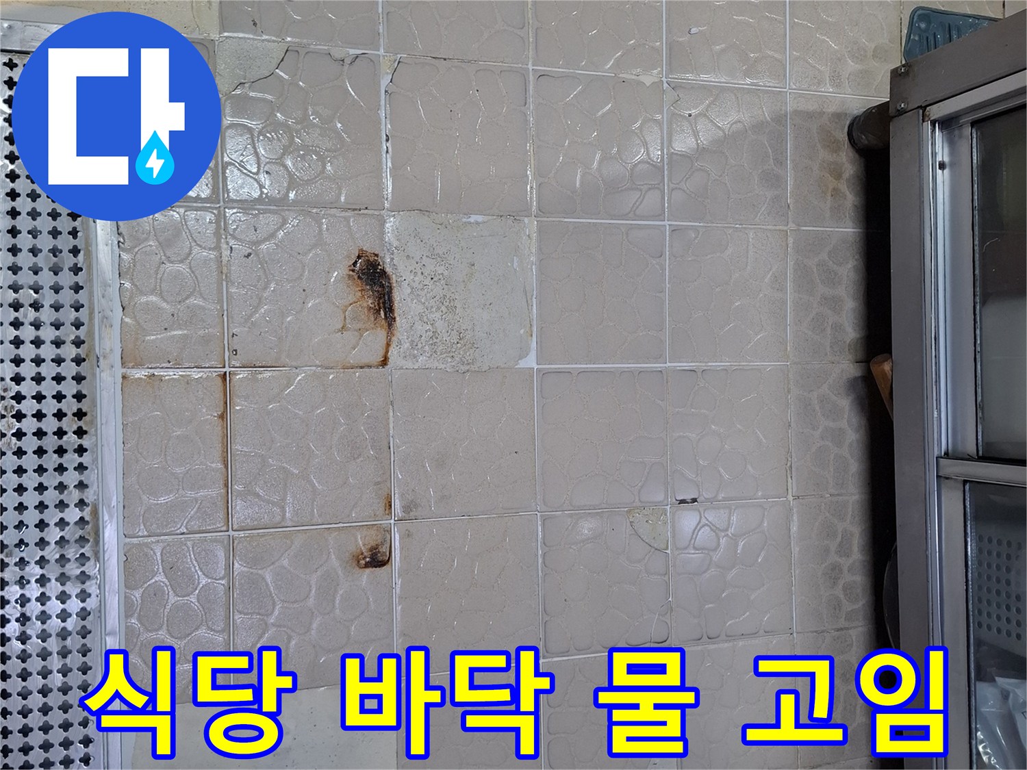 상암동 식당 홀의 젖은 타일과 변색된 줄눈 부위