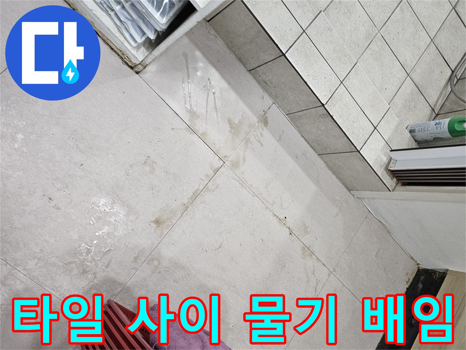 물샘 현상이 의심되는 타일 틈새와 주변 오염 부위