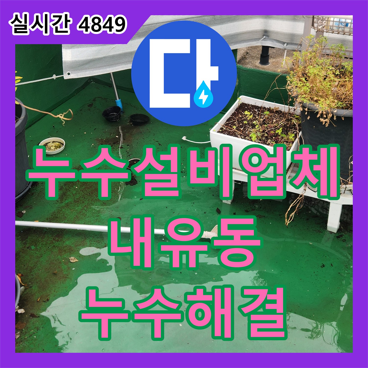 누수설비업체 옥상 배수구 막힘 해결 및 세대 내 정밀 진단으로 복도 누수를 잡은 경기 고양시 덕양구 내유동 현장