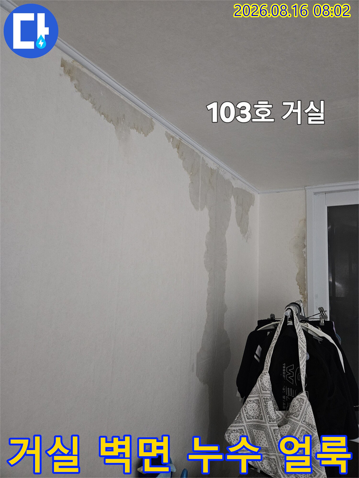 광명 철산동 아파트 거실 천장과 벽면에 발생한 누수 흔적 및 벽지 변색 상태입니다.