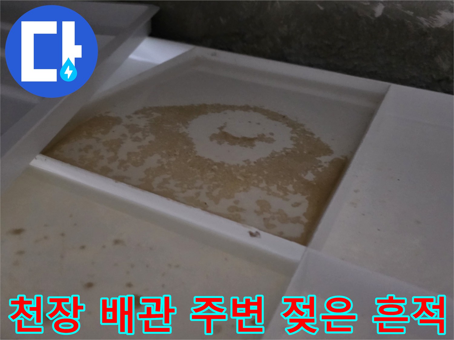 화장실 천장-배관 부근에 물기가 번져있는 모습
