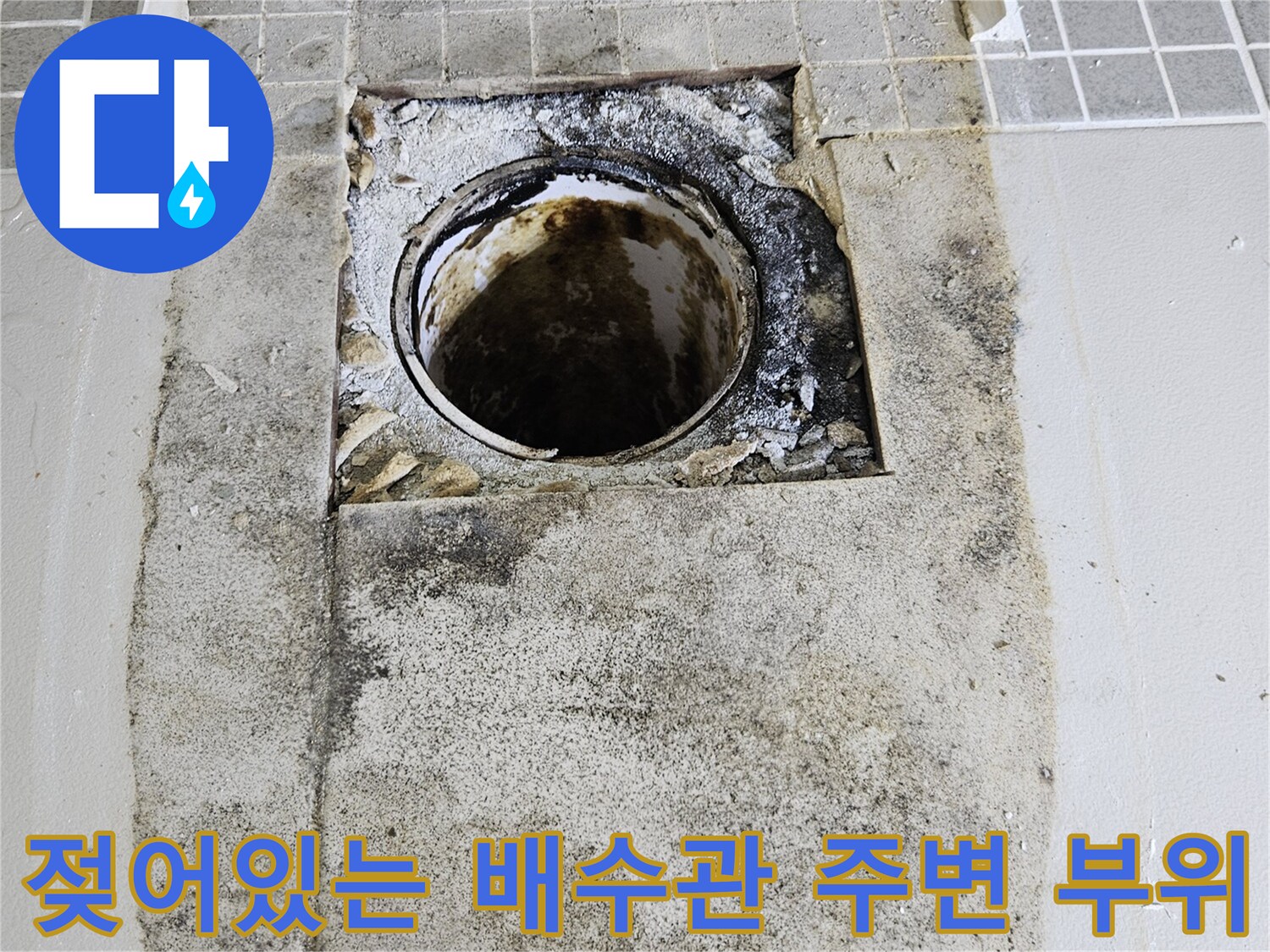 습기로 인해 검게 변한 배수구 주변 타일 및 배관