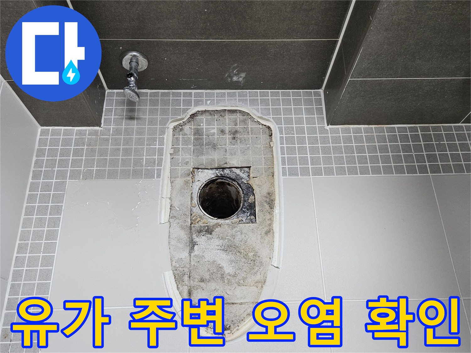 욕실 바닥 유가-배관 입구의 심한 물때와 오염 상태