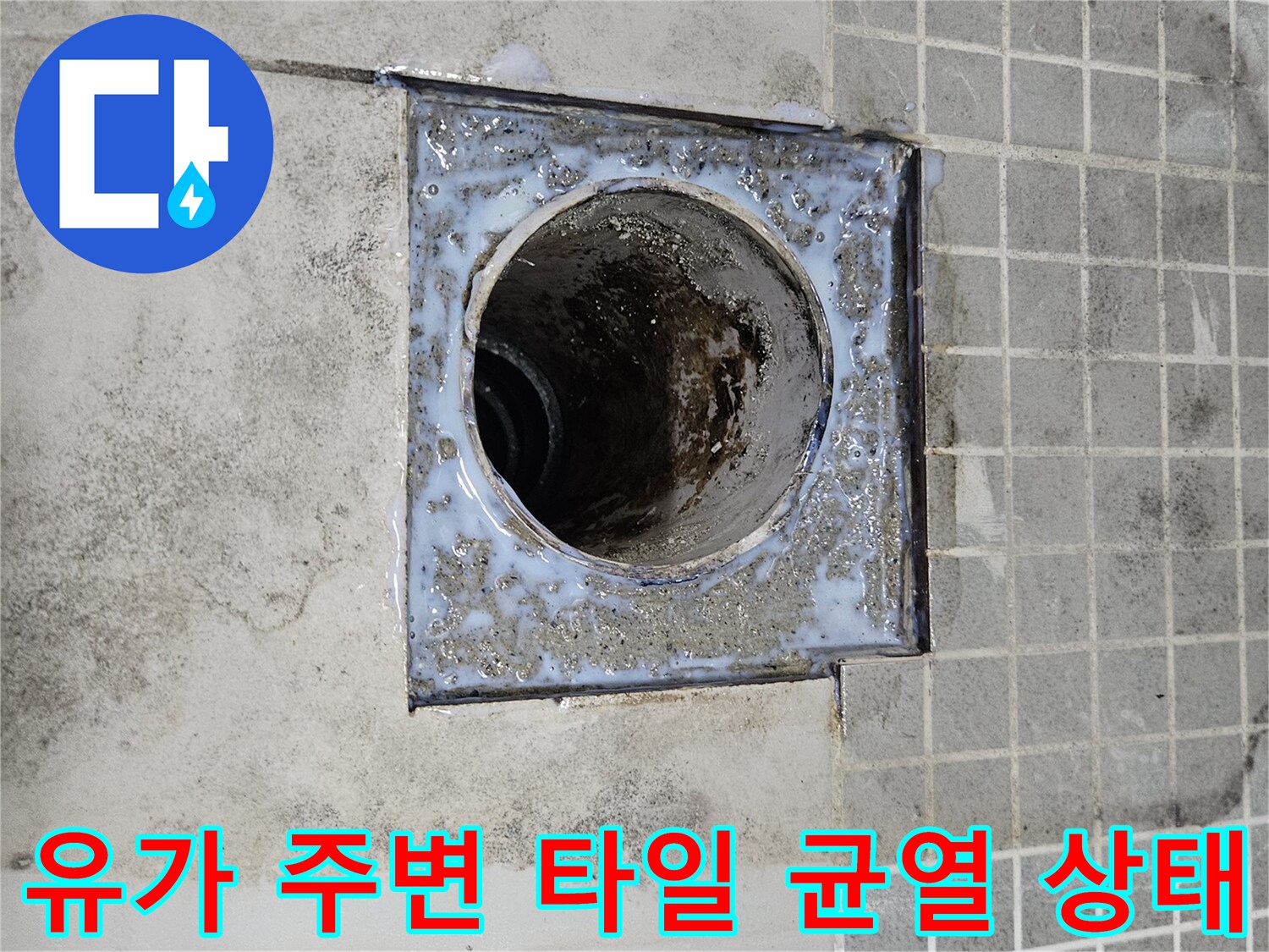 욕실-배수구-트랩-주위의-이물질과-균열된-부위