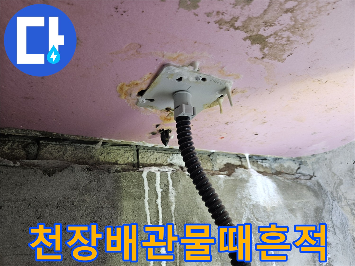 천장 전등 부근-배관 주변의 누수 흔적과 물때 현상