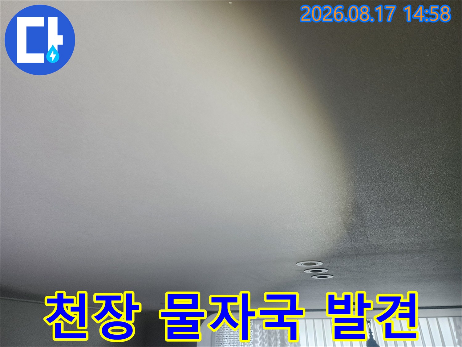 넓게 퍼진 천장 누수 얼룩과 변색 부위