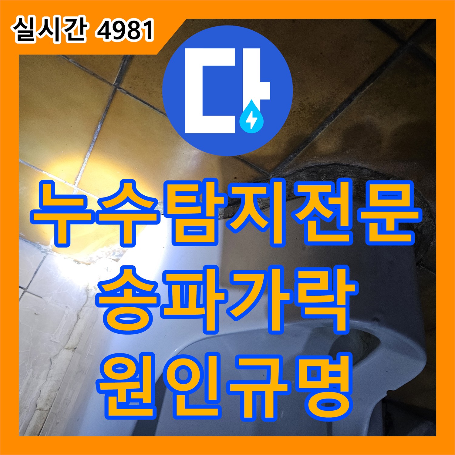 누수탐지전문 서울 송파구 가락동 지하 천장 철근 녹 발생과 공동화장실 누수 정밀 분석