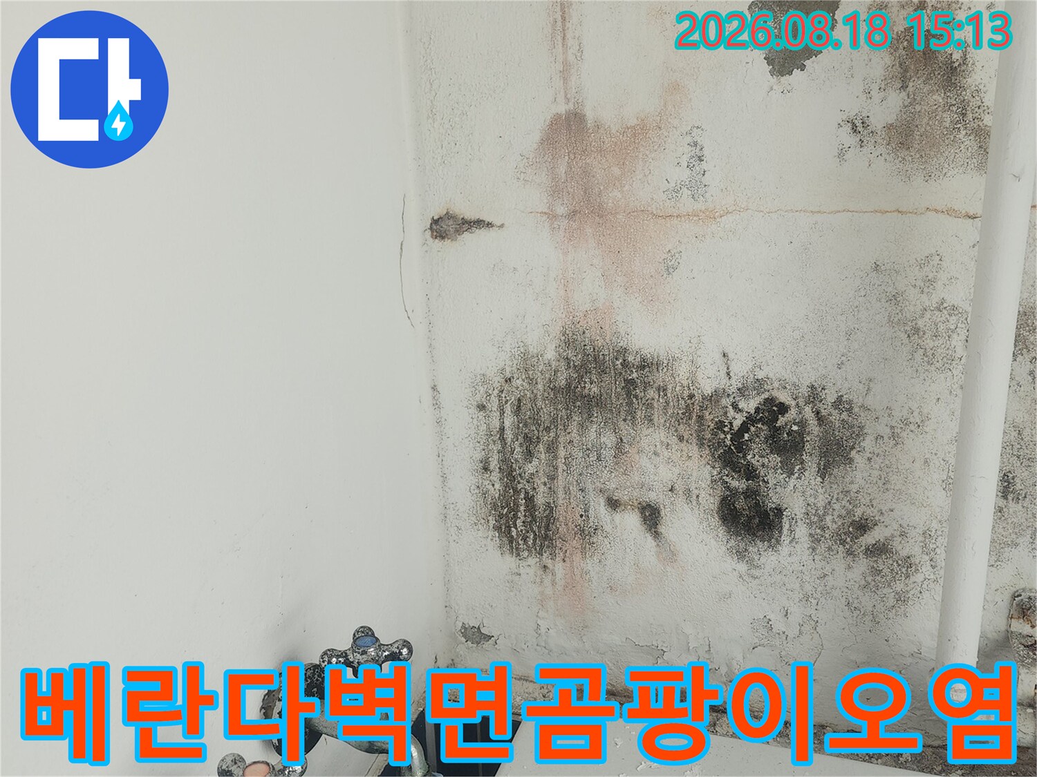 습기와 곰팡이로 오염된 세탁실 벽면 모습
