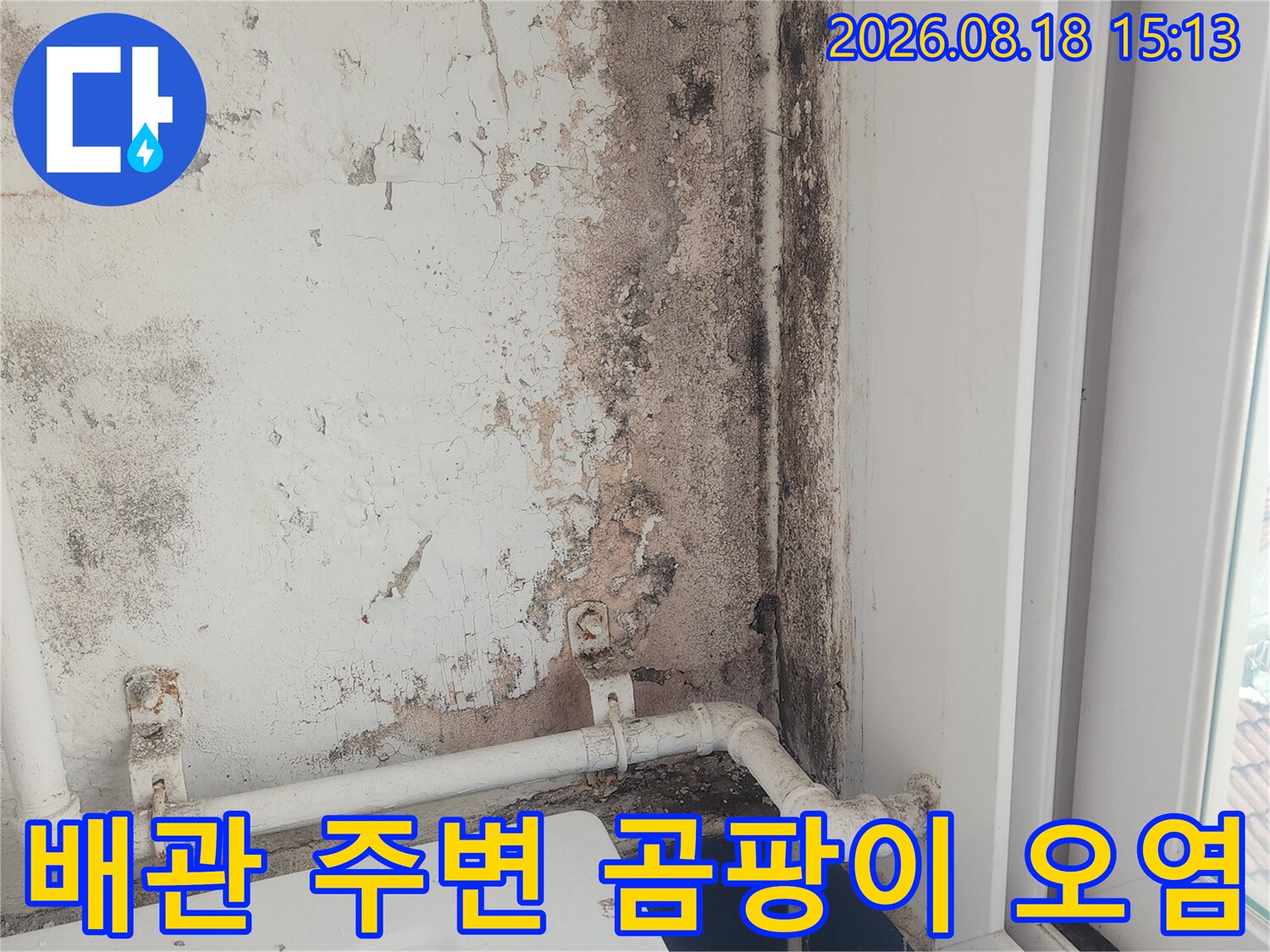 하얀색 배관 뒤쪽 벽면에 발생한 검은 곰팡이와 얼룩