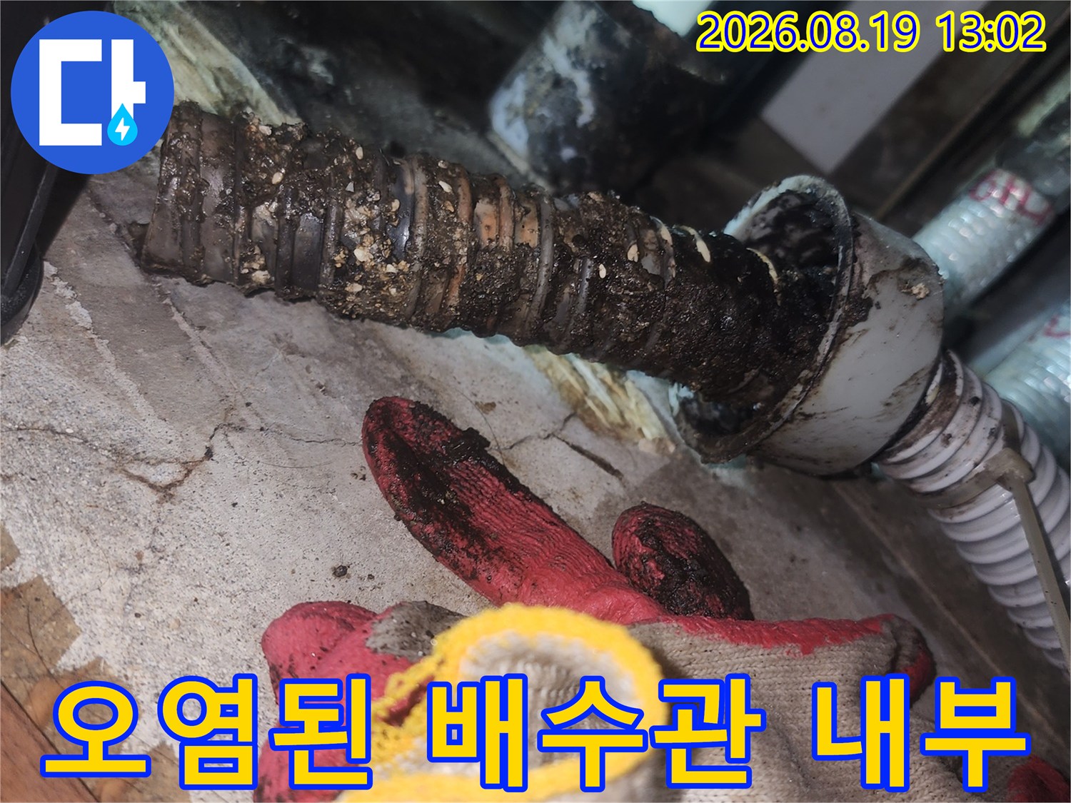 이물질로 가득 찬 싱크대 배관의 모습