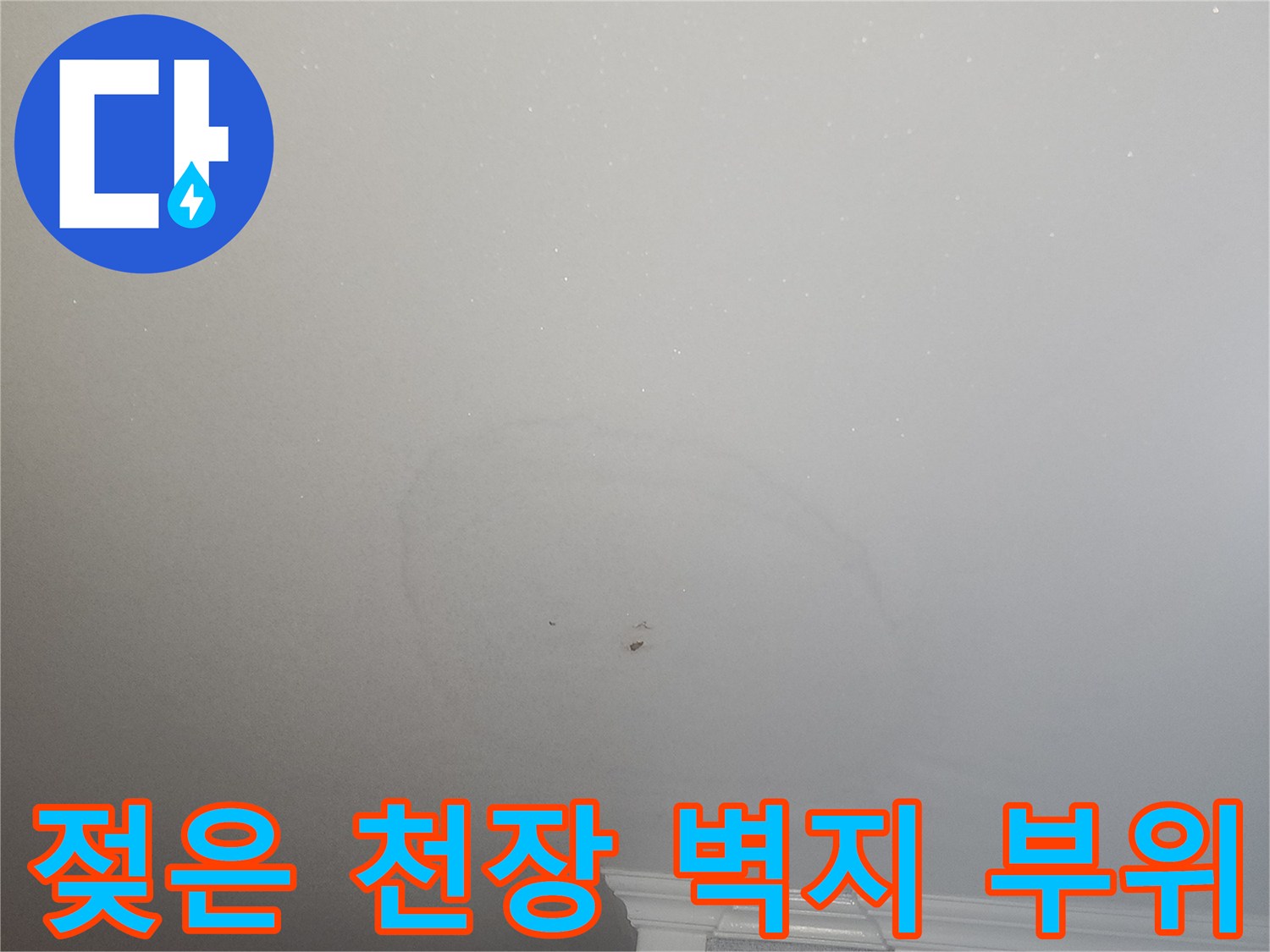 화정동-아파트-주방-천장-누수-의심-부위