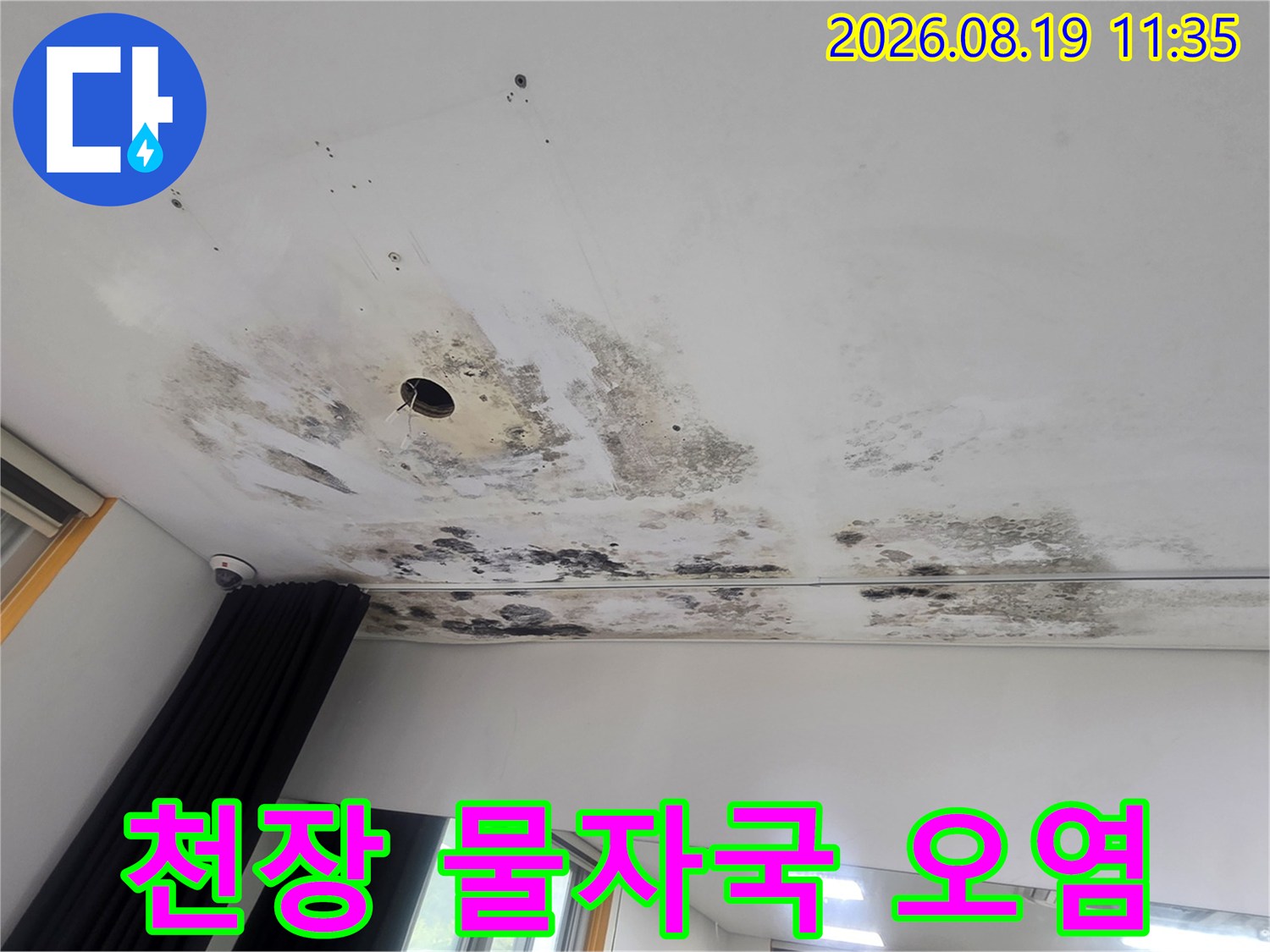 천장 마감재-누수로 인한 변색 및 곰팡이 발생