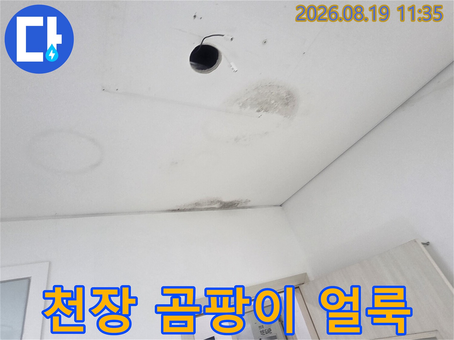 천장 마감재 부근에 발생한 곰팡이와 습기로 인한 오염 부위