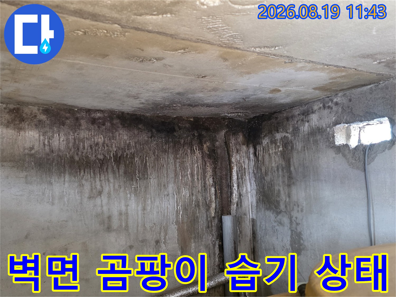 누수로 인해 오염된 욕실 벽면 - 배관 주변의 심한 습기 및 얼룩 상태