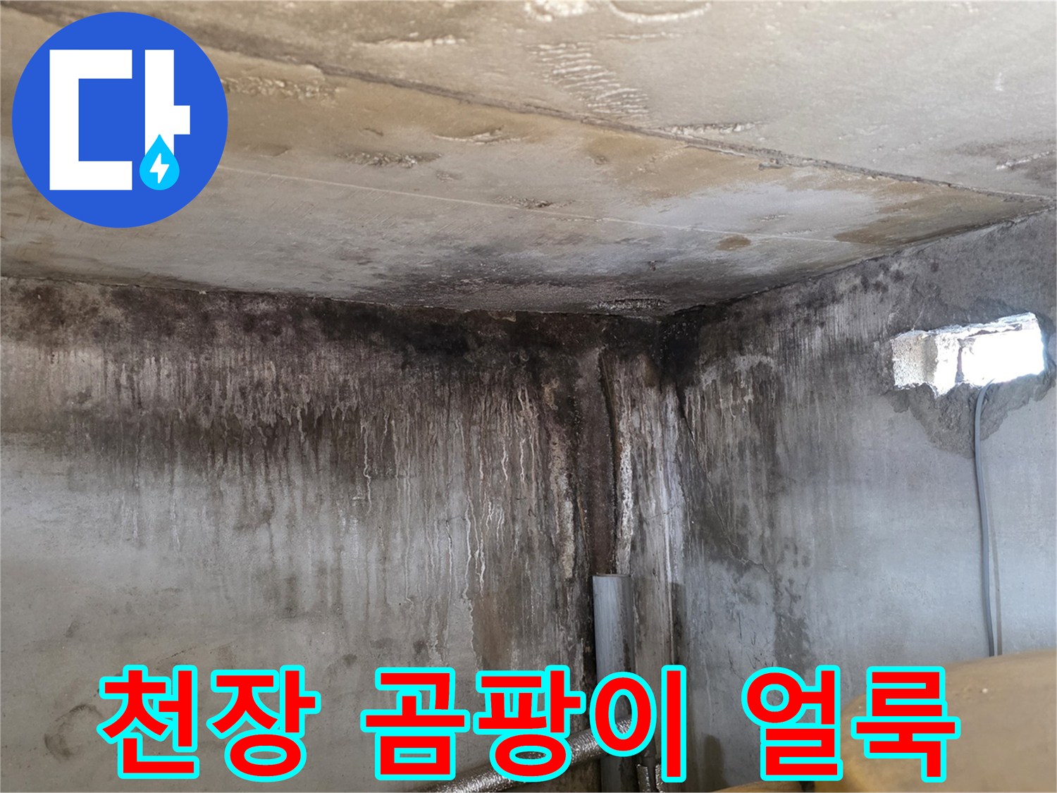 물샘 현상이 진행된 천장과 벽면의 오염 상태
