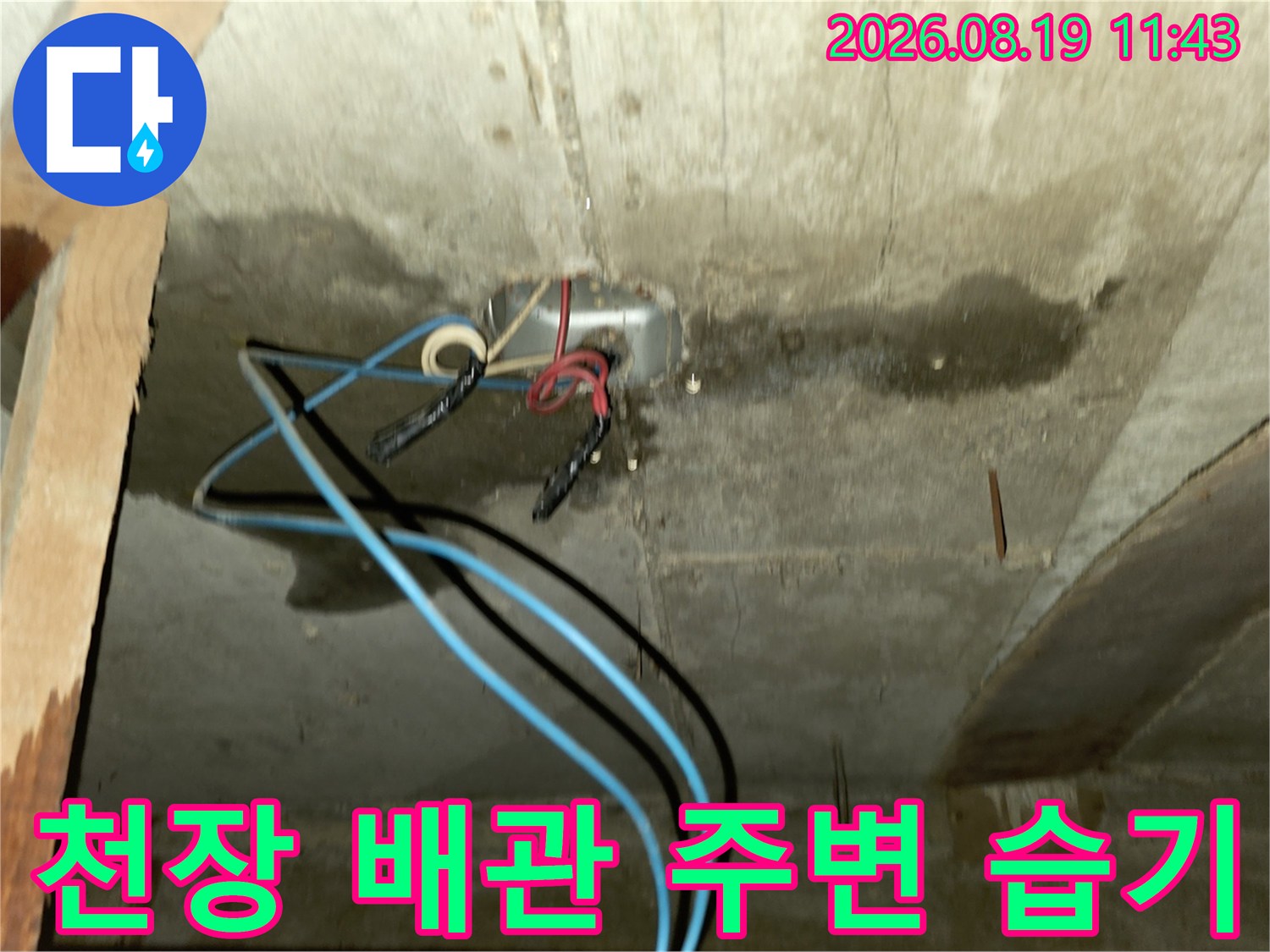 배관 노출 부위 근처의 콘크리트 젖음 현상 - 누수 지점 정밀 확인 중