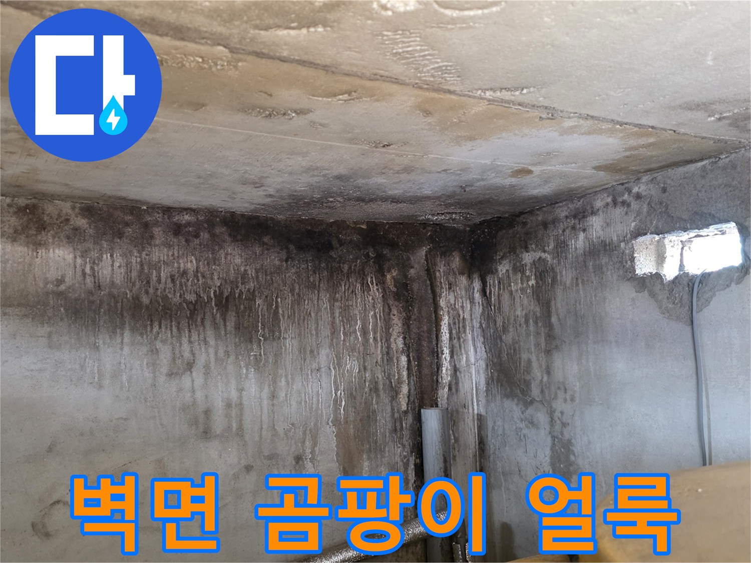 습기로 인해 벽면 하단에 발생한 곰팡이와 부식 현상