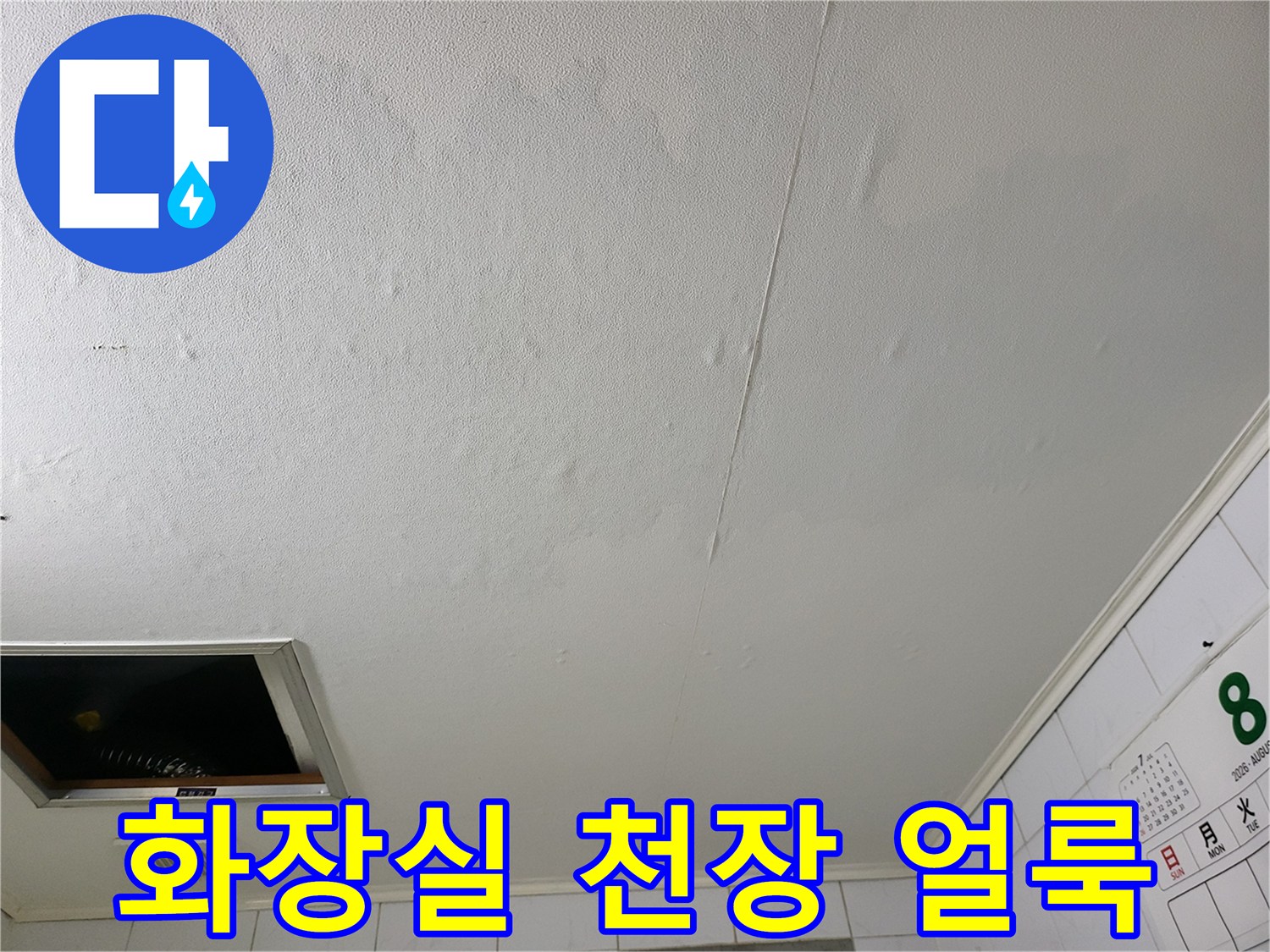 성동구 하왕십리동-화장실 천장 부위의 넓은 물샘 흔적과 젖음 현상