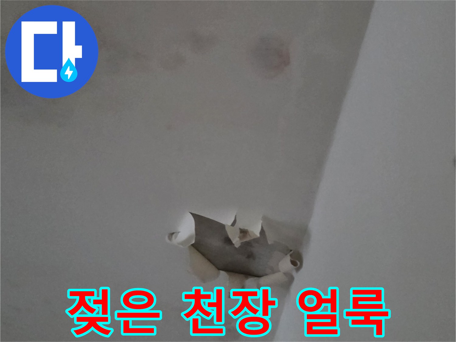습기로 인해-천장 벽지가 변색되고 찢어진 모습