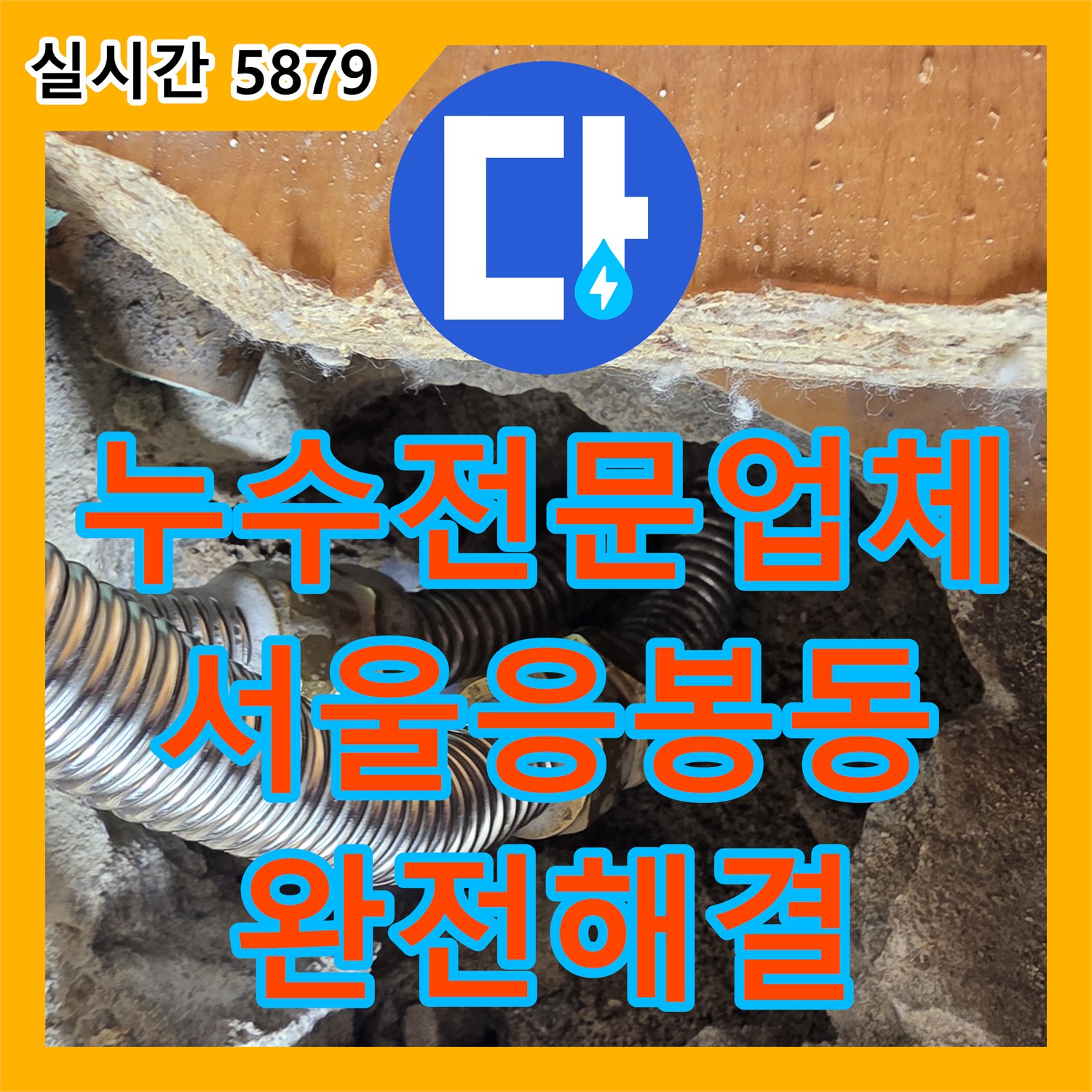 누수전문업체 외벽 누수로 오인했던 거실 천장 곰팡이의 실체는 싱크대 배관 결함 서울 성동구 응봉동