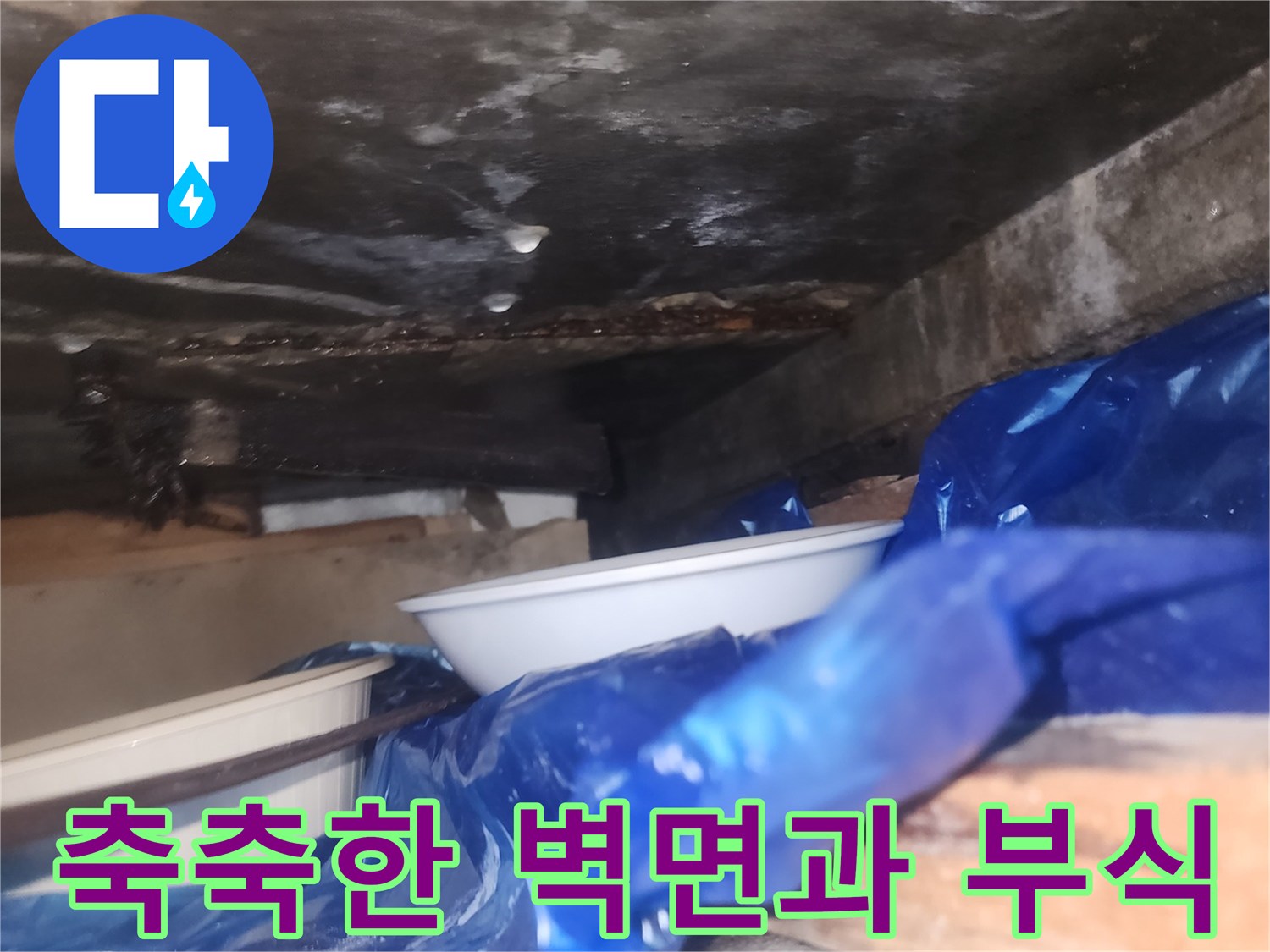 습기가-맺힌-비트실-내부-벽체-상태
